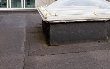 disadvantages of Tobys Hill flat roofs