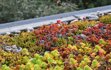 the cost of Tobys Hill green roof installation