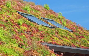 Tobys Hill living roof systems
